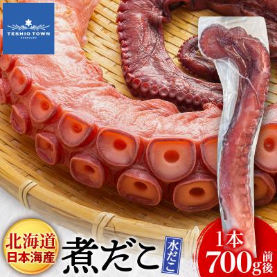 ふるさと納税 天塩町 北海道天塩町 煮たこ 足 700g前後<天塩の國>