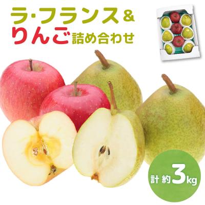 ふるさと納税 米沢市 [先行受付] 令和8年産 ラ・フランス &amp; りんご 詰め合わせ 計 約3kg