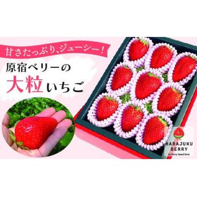 ふるさと納税 栃木市 ≪2026年2月発送≫原宿ベリーの「大粒いちご」