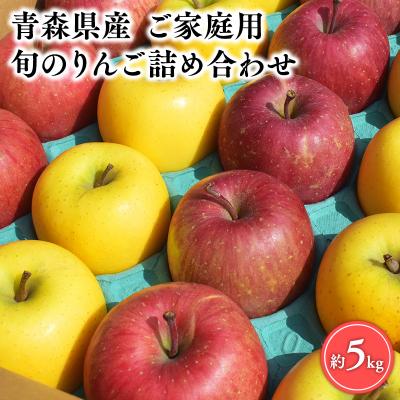 ふるさと納税 平川市 2月発送 [訳あり]旬のりんご詰め合わせ5kg[りんご・青森・平川・訳あり・家庭用・宮川商店]