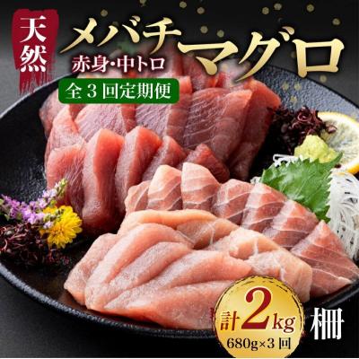ふるさと納税 室戸市 [ 3回定期便 ] 天然メバチマグロ 中トロ 赤身 柵 計680g以上