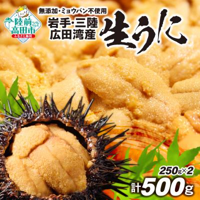 ふるさと納税 陸前高田市 [先行受付] 三陸産 生うに 500g(250g×2パック) 塩水パック 無添加 ミョウバン不使用
