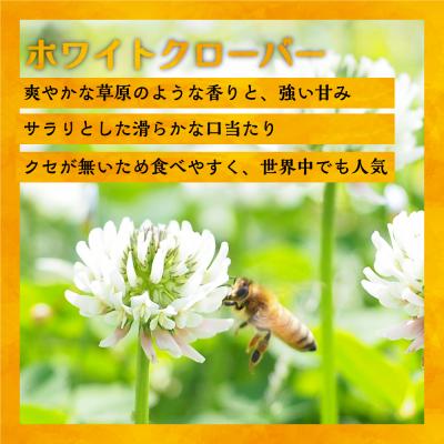 ふるさと納税 浦河町 国産純粋完熟はちみつ3種セット(れんげ・ホワイトクローバー・黄金草)ご家庭用[16-1320]_2