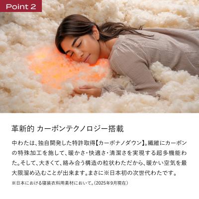 ふるさと納税 三原市 ブレインスリープ コンフォーターパーフェクト