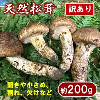 ふるさと納税 普代村 [期間限定]岩手県産 天然松茸 約200g 国産 松茸訳あり [開きや小さめ、割れ、欠けなど]