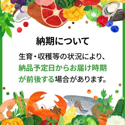 ふるさと納税 男鹿市 《定期便6ヶ月》令和7年産 【白米】家計お助け米 あきたこまち 5kg|23_kml-010506_1
