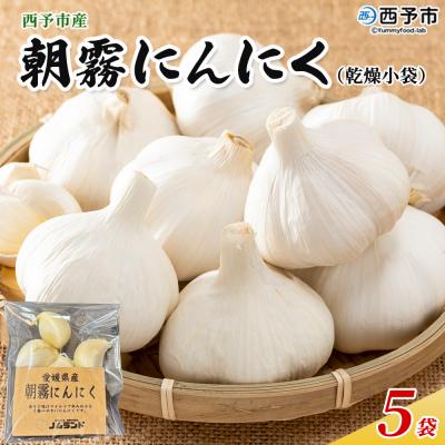 ふるさと納税 西予市 &lt;西予市産 朝霧にんにく(乾燥小袋)5袋 内容量 国産 ニンニク ノムランド