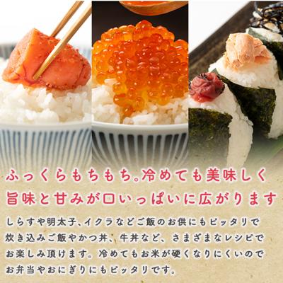ふるさと納税 男鹿市 《定期便8ヶ月》令和7年産 【無洗米】秋田県産 あきたこまち 3kg|23_kml-020308