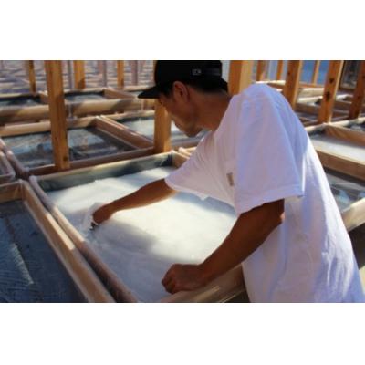 ふるさと納税 安田町 安田町産トマト1kgと田野屋紫蘭の完全天日塩