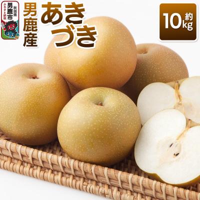 ふるさと納税 男鹿市 [令和8年度 早期受付]あきづき 約10kg 秋田県 男鹿ファーム直売所|23_ofc-071001