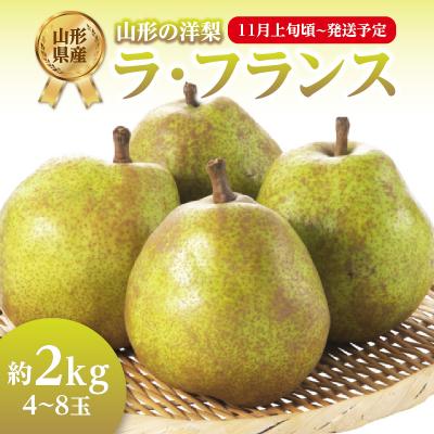 ふるさと納税 大江町 [先行受付]ラフランス 約2kg(4〜8玉) [2026年11月上旬頃〜発送予定] 001-103