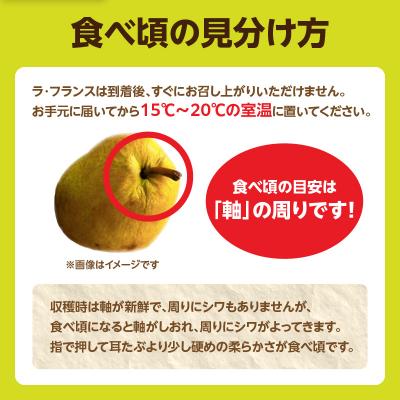 ふるさと納税 大江町 《先行受付》ラフランス 約2kg(4〜8玉) 【2026年11月上旬頃〜発送予定】 001-103 |  | 01