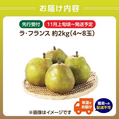 ふるさと納税 大江町 《先行受付》ラフランス 約2kg(4〜8玉) 【2026年11月上旬頃〜発送予定】 001-103 |  | 02