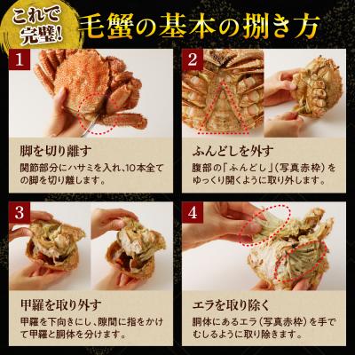 ふるさと納税 えりも町 北海道産活蒸し毛蟹約約250g〜約290g×2尾【er001-108-b】 |  | 01