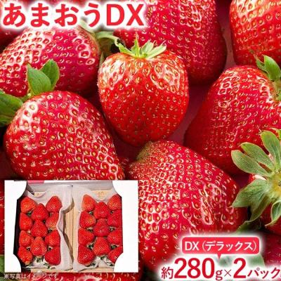 ふるさと納税 古賀市 [2026年2月上旬より順次発送] あまおうDX 約280g×2パック