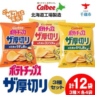 ふるさと納税 千歳市 ポテトチップスザ厚切りのための 3種セット うすしお・コンソメ・のり塩 各4袋 合計12袋 1箱