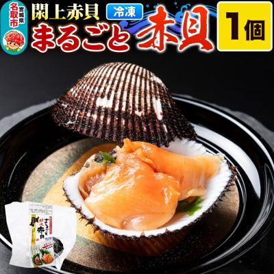 ふるさと納税 名取市 [閖上(ゆりあげ)赤貝]まるごと赤貝 1個入り|21_hmy-240101
