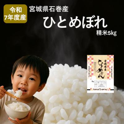 ふるさと納税 石巻市 米 ひとめぼれ 精米 5kg 令和7年産 新米 白米 ヒトメボレ お米 ごはん ご飯