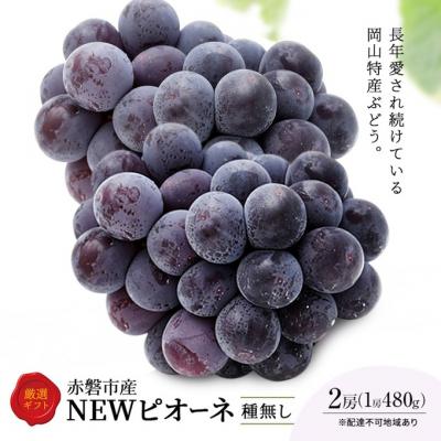 ふるさと納税 赤磐市 ぶどう 2026年 先行予約 ピオーネ 2房 1房約480g 化粧箱入り [NO5765-1325]