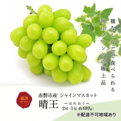 ふるさと納税 赤磐市 2026年 先行予約 シャインマスカット 晴王 2房 1房約480g [NO5765-1327]