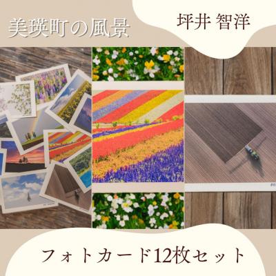 ふるさと納税 美瑛町 写真家 坪井 智洋 美瑛の風景 フォトカード 12枚セット [006-21]