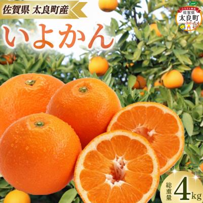 ふるさと納税 太良町 田島柑橘園&amp;加工所のいよかん4kg