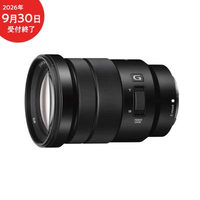 ふるさと納税 幸田町 デジタル一眼カメラα[Eマウント]用レンズ E PZ 18-105mm F4 G OSS
