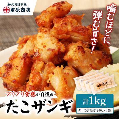 ふるさと納税 羽幌町 プリプリ触感が自慢 たこザンギ 計1kg (タコの唐揚げ 250g×4) | 