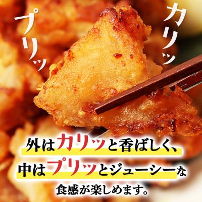 ふるさと納税 羽幌町 プリプリ触感が自慢 たこザンギ 計1kg (タコの唐揚げ 250g×4) |  | 01