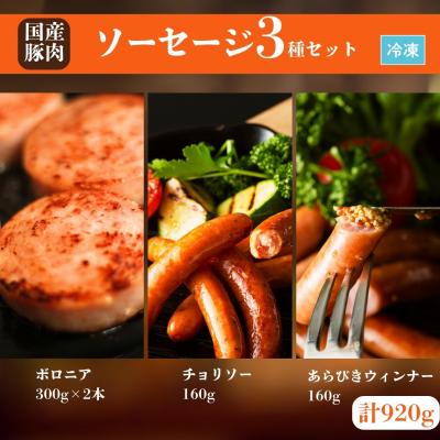 ふるさと納税 南相馬市 国産豚肉 ソーセージ3種セット (ボロニア / チョリソー / あらびきウィンナー)