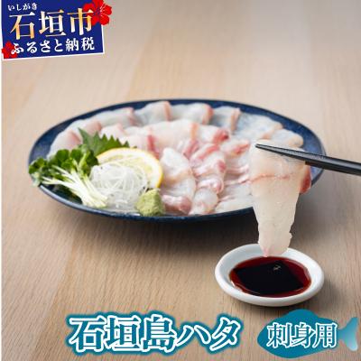 ふるさと納税 石垣市 石垣島 ハタ 販売記念お試しお刺身用 | ミーバイ ヤイトハタ