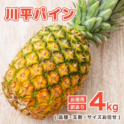 ふるさと納税 石垣市 [2026年7月以降順次発送]川平パイン お徳用訳あり4kg ( 品種・玉数・サイズお任せ )