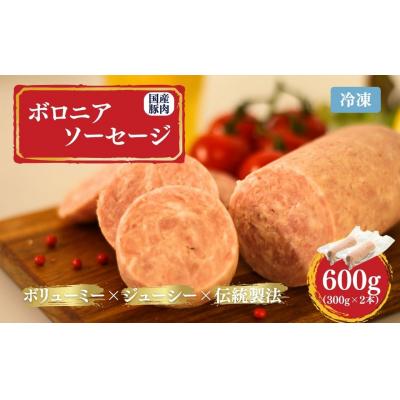 ふるさと納税 南相馬市 国産豚使用 ボロニアソーセージ 600g (300g×2本) | ボローニャ ソーセージ おつまみ