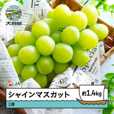 ふるさと納税 大石田町 [先行予約]ぶどう シャインマスカット 約1.4kg 2026年産 令和8年産