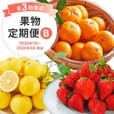 ふるさと納税 古賀市 [3回発送]果物定期便B 2025