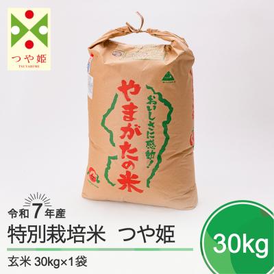 ふるさと納税 大石田町 新米 米 つや姫 30kg 令和7年産 [2026年1月上旬発送]山形県産 特別栽培米 玄米
