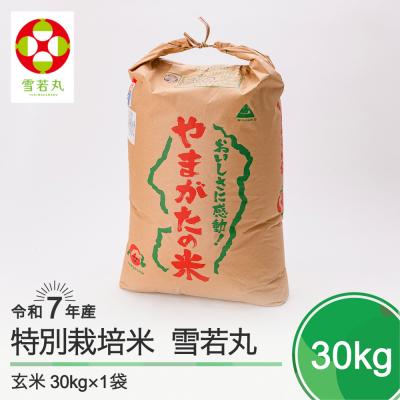 ふるさと納税 大石田町 新米 米 雪若丸 30kg 令和7年産 [2026年1月上旬発送]山形県産 特別栽培米 玄米