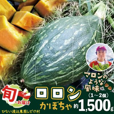 ふるさと納税 大館市 カボチャ 旨味がトロけるロロンで幸せな一時を 1500g