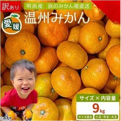 ふるさと納税 西予市 浜のみかん屋直送 温州みかん 訳あり 9キロ (2S〜2L) 愛媛 えひめ