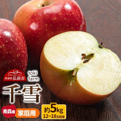 ふるさと納税 弘前市 りんご 千雪 約5kg(12〜18玉程度)家庭用 toki farm|24_tkf-110501
