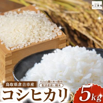ふるさと納税 倉吉市 ※2月配送分[新米][令和7産米]倉吉市産 コシヒカリ 5kg 16G024_02