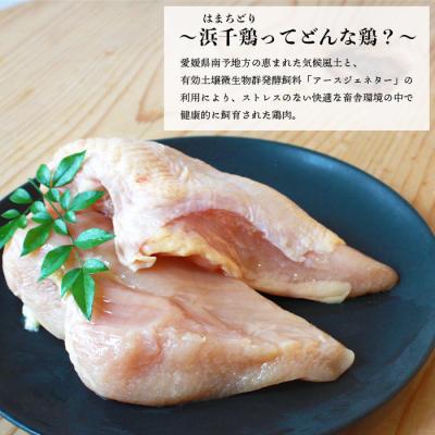 ふるさと納税 西予市  <銘柄鶏 浜千鳥 愛媛県産 若鶏むね肉 4kg(1kg×4)>国産 鶏肉 鳥肉 むね肉 ムネ |  | 03