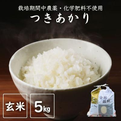 ふるさと納税 南相馬市 令和7年産 新米 つきあかり 玄米 5kg [121237-006-03]