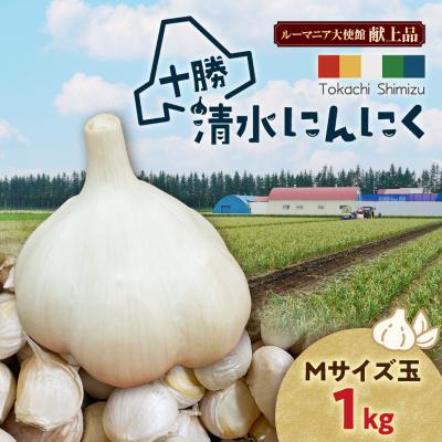 花十勝29.2kg超特大サイズ 花十勝29.2kg超特大サイズ 新作・人気アイテム 花十勝29.2kg超特大