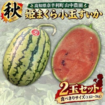 ふるさと納税 奈半利町 [10月下旬〜順次発送]山中農園 小玉スイカ2玉 103004