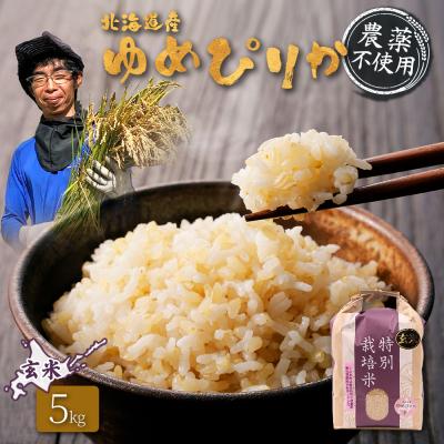 ふるさと納税 羽幌町 北海道産 特別栽培米 ゆめぴりか 玄米 5kg (栽培期間中、無化学肥料・農薬不使用)[25137]
