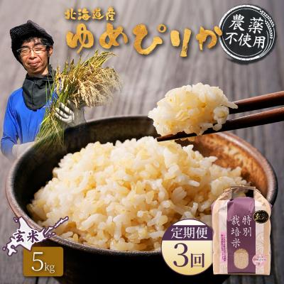 ふるさと納税 羽幌町 [定期便:3回]特別栽培米 ゆめぴりか玄米 5kg(栽培期間中無化学肥料・農薬不使用)[25138]