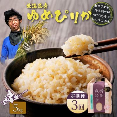 ふるさと納税 羽幌町 [定期便:3回]特別栽培米 ゆめぴりか玄米 5kg(栽培期間中、無化学肥料除草剤一回)[25147]