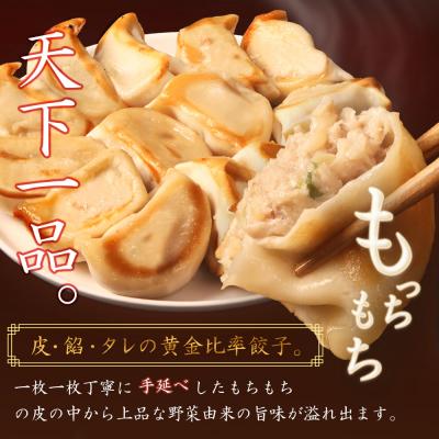 ふるさと納税 中標津町 【定期便:6回】【なかしべつミルキーポーク100%使用】 樹苞 お城餃子36個【53016】_1