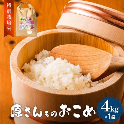 ふるさと納税 玖珠町 令和7年度産 原さんちのお米4kg ヒノヒカリ